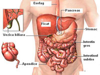 Managementul sistemului intestinal