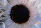 celule-retina-ochi