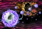 Tratament cu nanoparticule impotriva cancerului