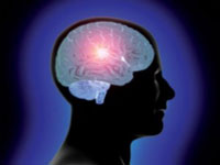 Celulele susa pot repara creierul iradiat